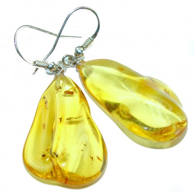 Large Golden Drops Butterscotch Baltic Polish Amber .925 Sterling Silver earrings